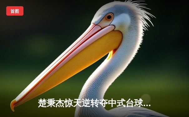 楚秉杰惊天逆转夺中式台球国际大师赛冠军 决胜局绝杀赵汝亮